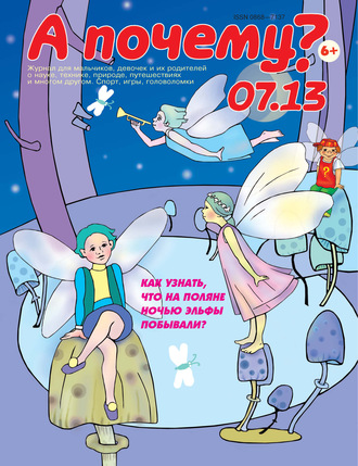 . А почему? №07/2013
