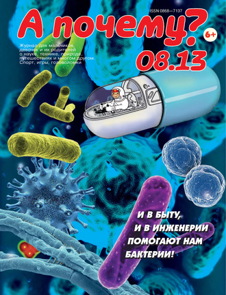 . А почему? №08/2013
