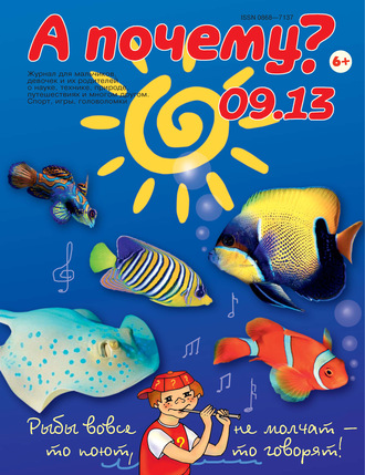 . А почему? №09/2013