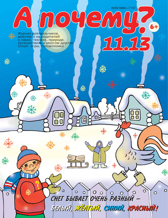 . А почему? №11/2013