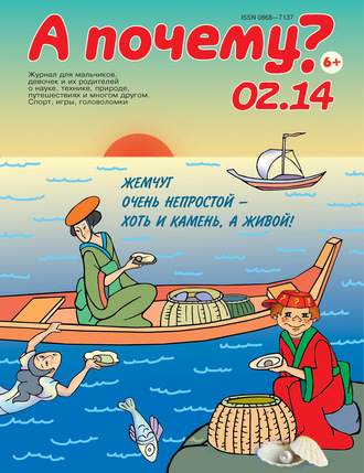 . А почему? №02/2014