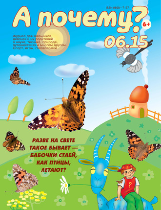 . А почему? №06/2015
