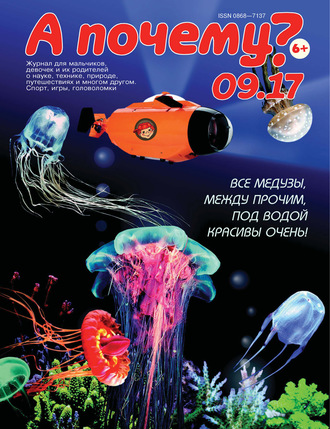 . А почему? №09/2017