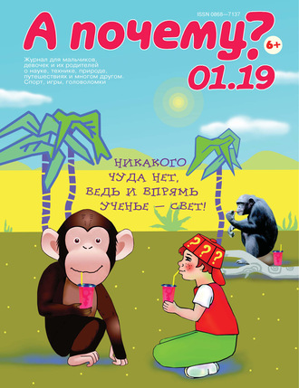 . А почему? №01/2019