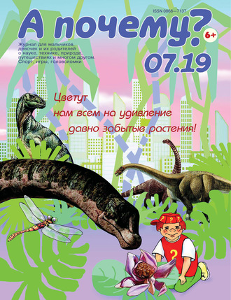 . А почему? №07/2019
