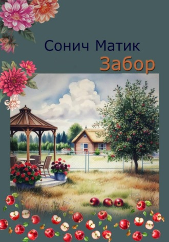Сонич Матик. Забор