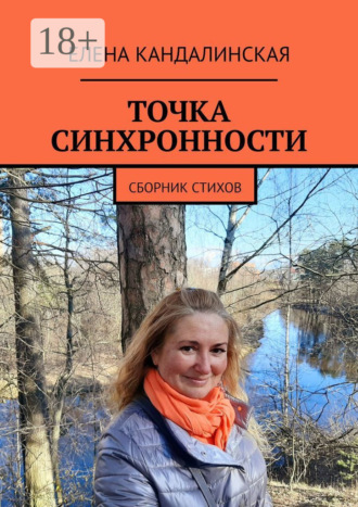 . Точка синхронности. Сборник стихов