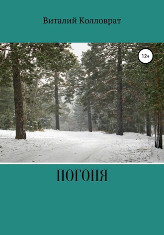 . Погоня