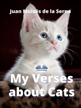 . My Verses About Cats