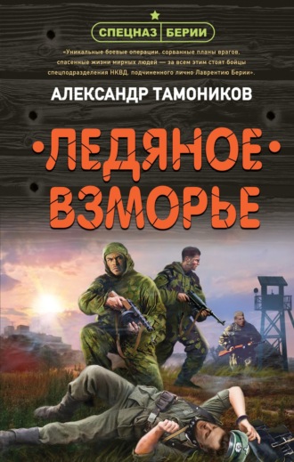 . Ледяное взморье
