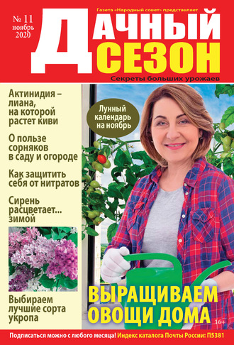 . Дачный сезон №11/2020