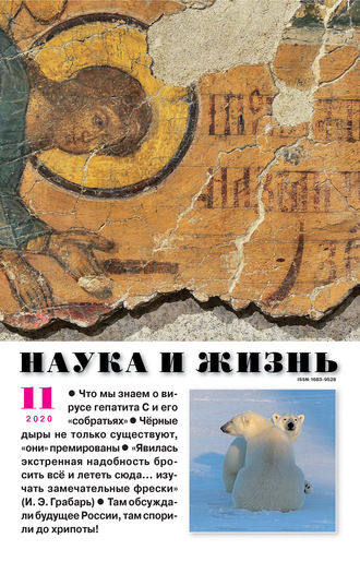 . Наука и жизнь №11/2020