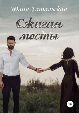 . Сжигая мосты