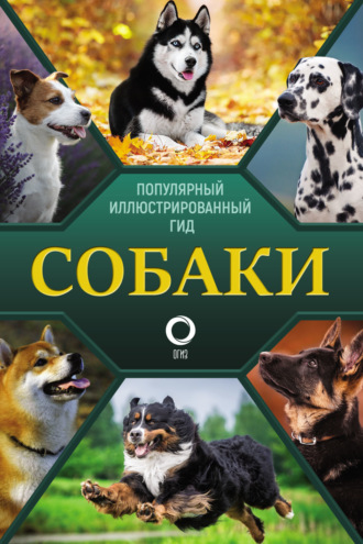 . Собаки. Популярный иллюстрированный гид