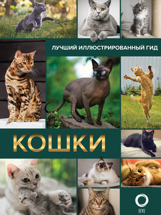 . Кошки