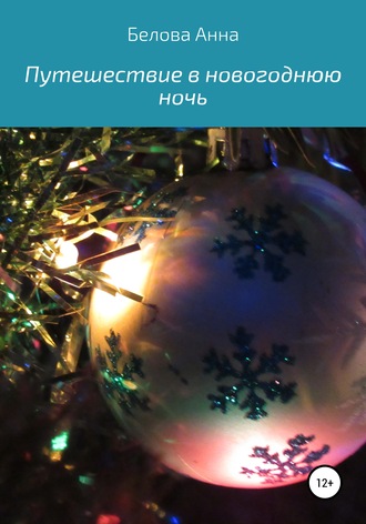 . Путешествие в новогоднюю ночь