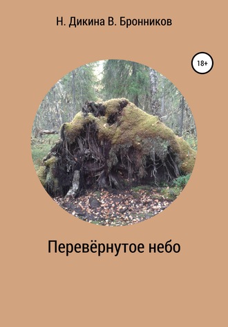 Валерий Бронников. Перевернутое небо