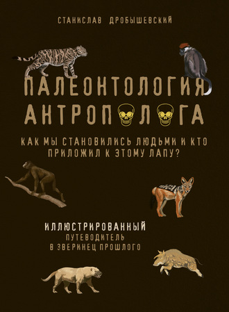 . Палеонтология антрополога. Иллюстрированный путеводитель в зверинец прошлого