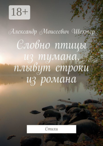 . Словно птицы из тумана, плывут строки из романа. Стихи