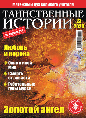 . Таинственные истории №23/2020
