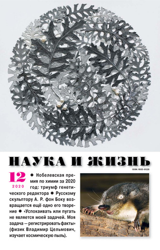 . Наука и жизнь №12/2020