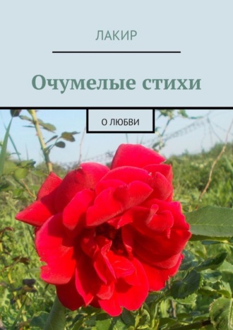 Лакир. Очумелые стихи. О любви