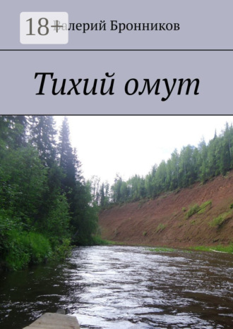 Валерий Бронников. Тихий омут