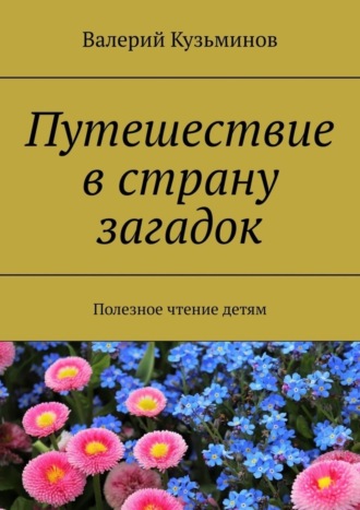 . Путешествие в страну загадок. Полезное чтение детям