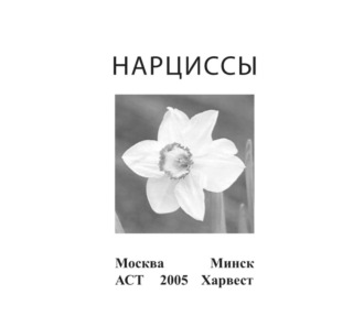 . Нарциссы