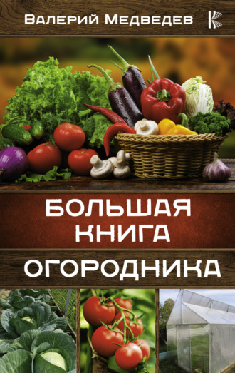 Валерий Медведев. Большая книга огородника