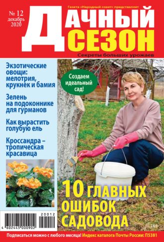 . Дачный сезон №12/2020