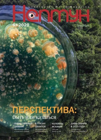 . Нептун №6/2020