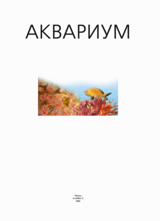 . Аквариум