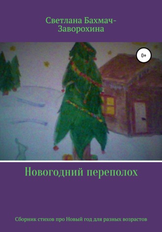 . Новогодний переполох
