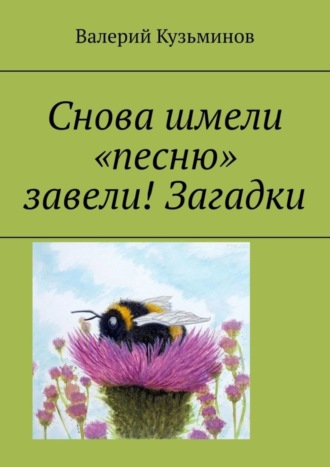 . Снова шмели «песню» завели! Загадки