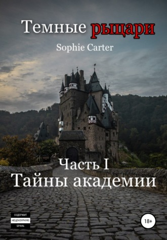 Sophie Carter. Темные рыцари. Тайны академии