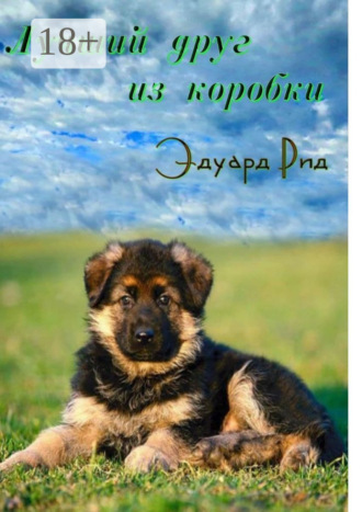 . Лучший друг из коробки