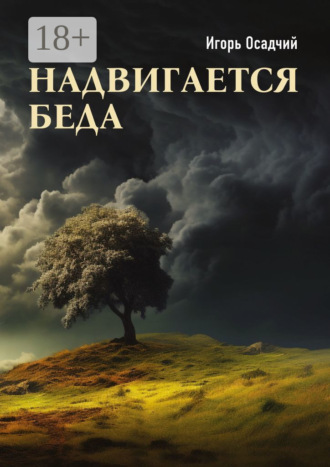 . Надвигается беда