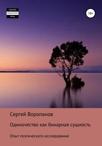 Сергей Алексеевич Воропанов. Одиночество как бинарная сущность. Опыт поэтического исследования