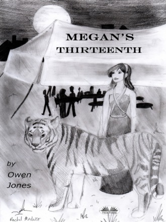 . Megan's Thirteenth