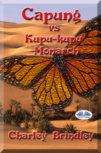 . Capung Vs Kupu-Kupu Monarch