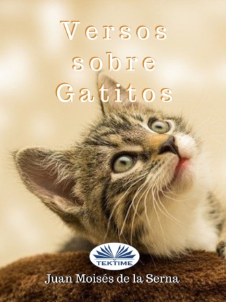 . Versos Sobre Gatitos