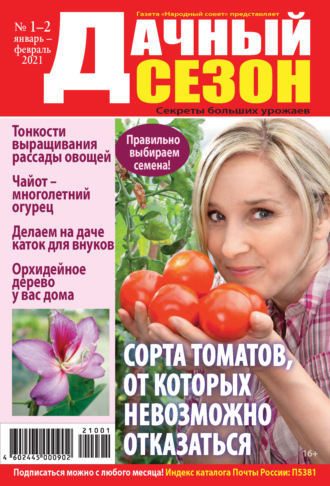 . Дачный сезон №01-02/2021