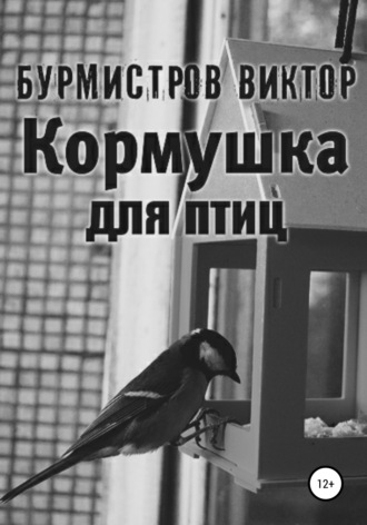 Виктор Геннадьевич Бурмистров. Кормушка для птиц