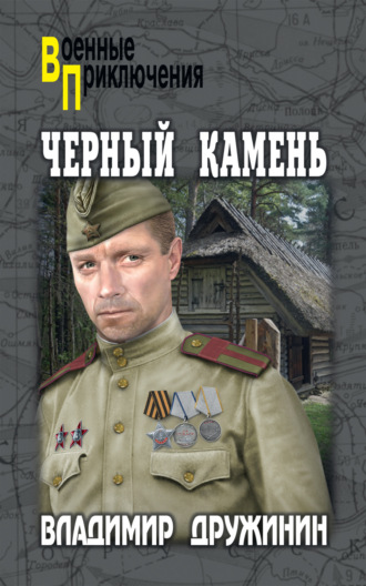 Владимир Дружинин. Черный камень