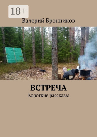 Валерий Бронников. Встреча. Короткие рассказы