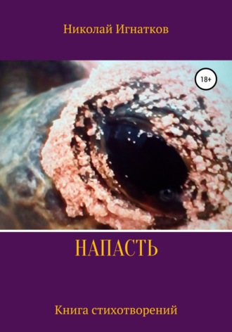 . Напасть. Книга стихотворений