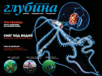 . Предельная Глубина №5/2020