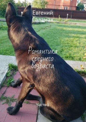 . Романтика среднего возраста. Часть 1