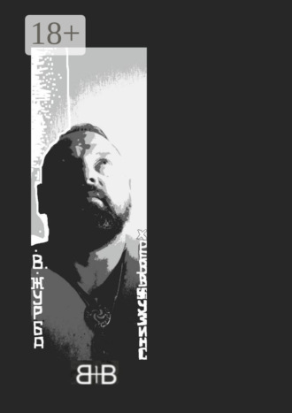 Владимир Владимирович Журба. Снизу вверх